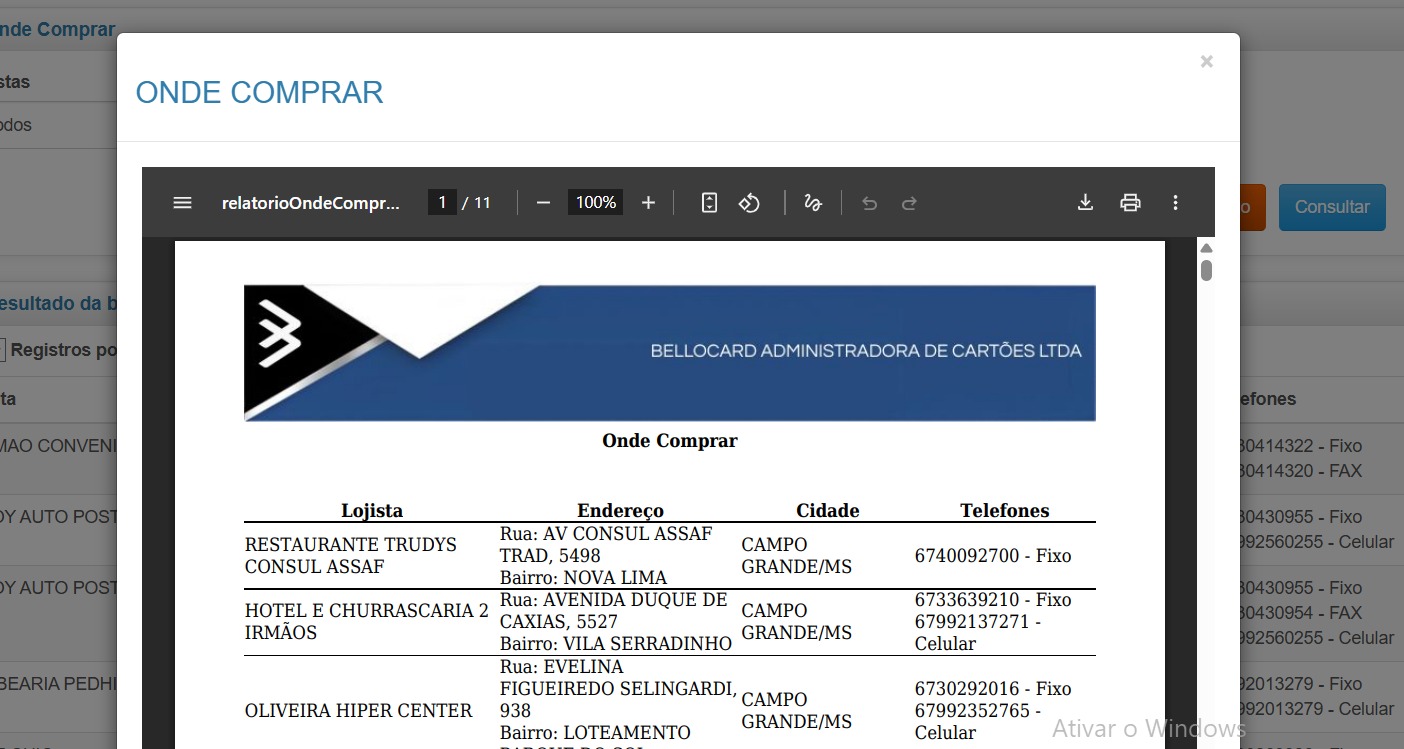 Exemplo de relatório