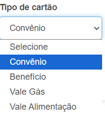 Filtros de Extrato Resumido